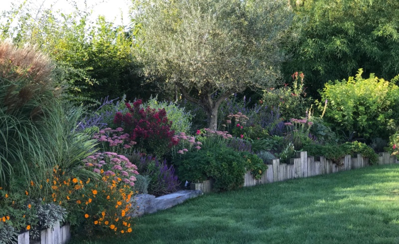 Massif fleuri de vivaces et annuelles