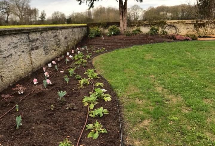 Création de massif - Plantations